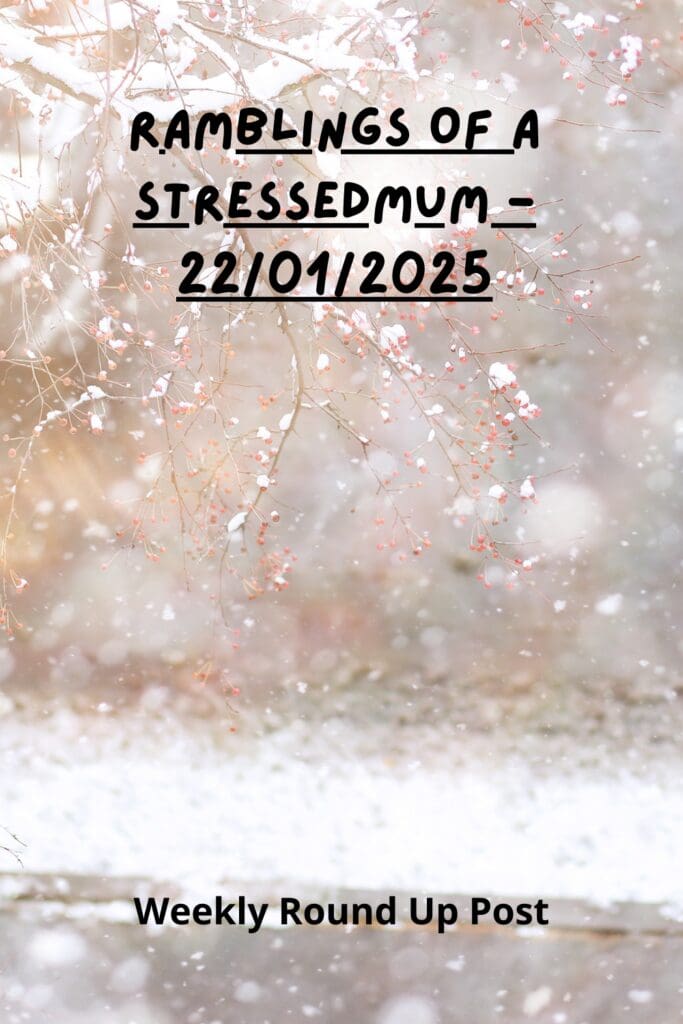 Ramblings Of A StressedMum - 22/01/2025 pinterest pin