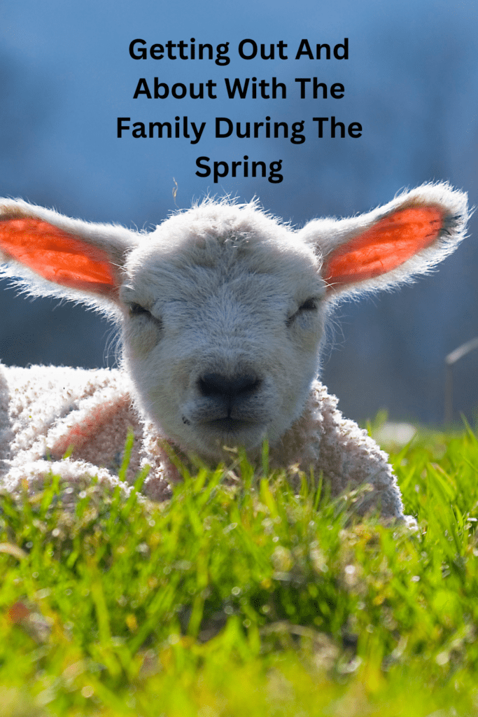 Getting Out And About With The Family During The Spring