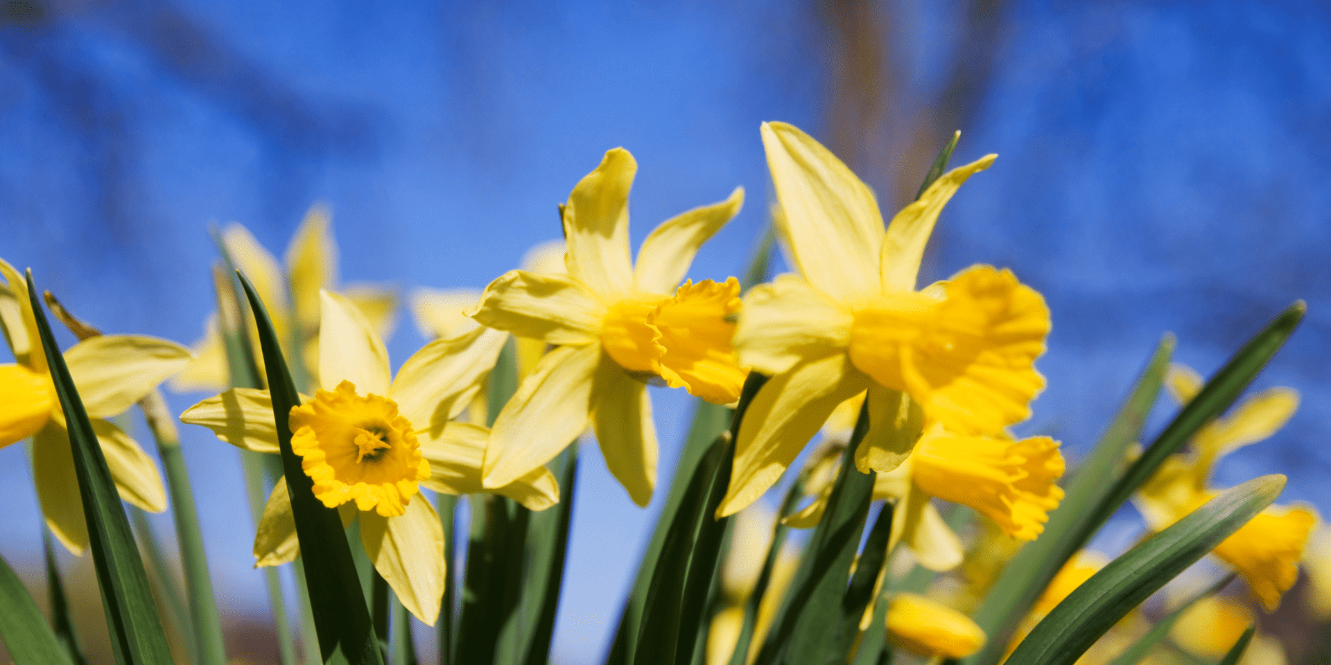 Spring Out Of Getting Out And About With The Family During The Spring - StressedMum