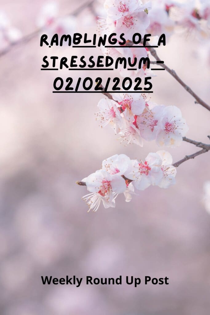 Ramblings Of A StressedMum - 02/02/2025 - Pinterest Pin