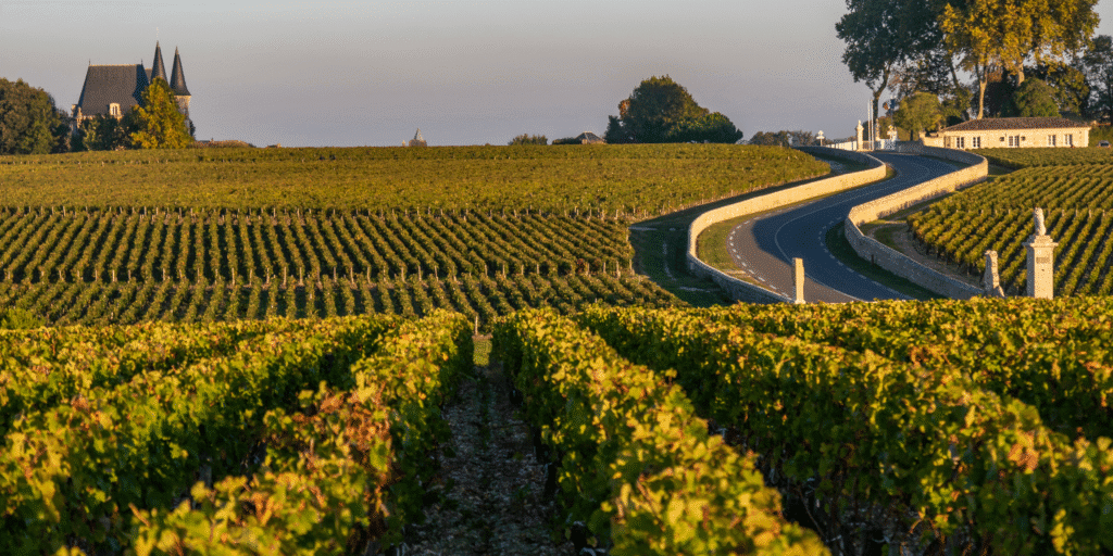 Rathfinny Wine Estate
