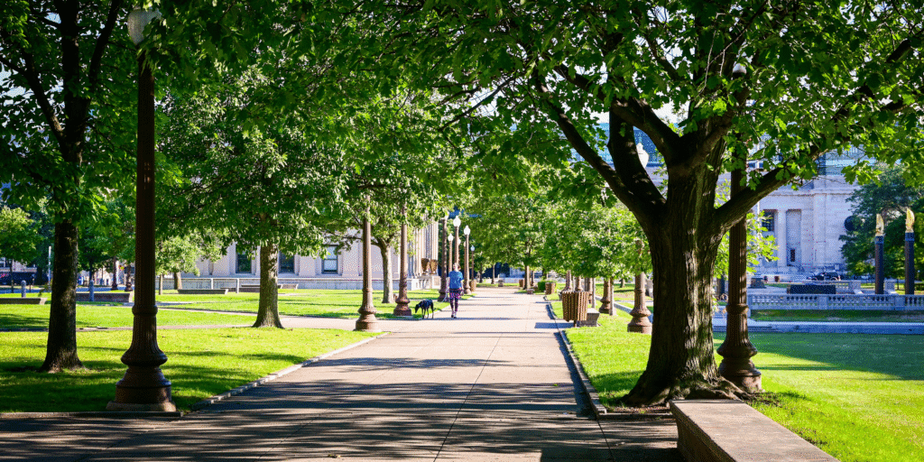 Picnic In A Park