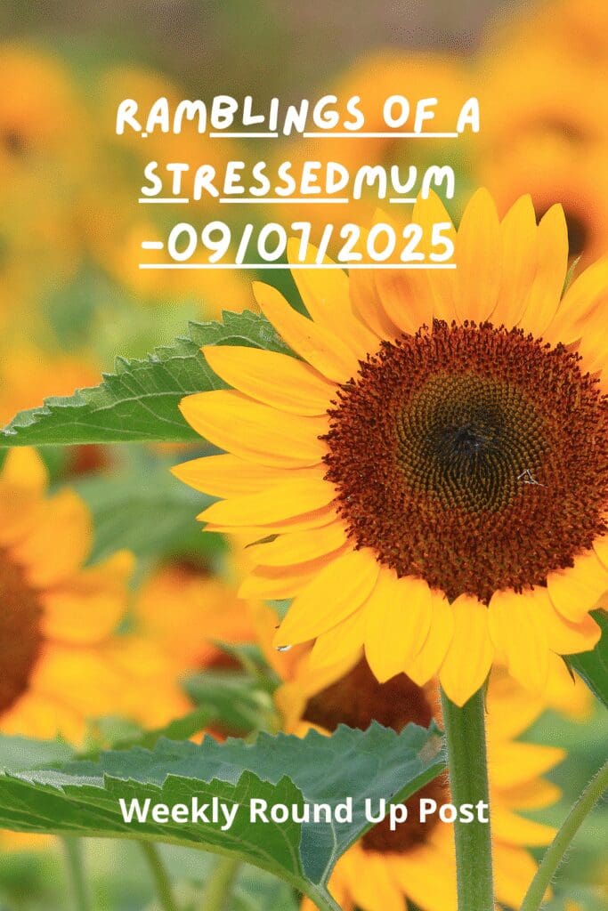 Ramblings Of A StressedMum -09/07/2025 Pinterest Pin