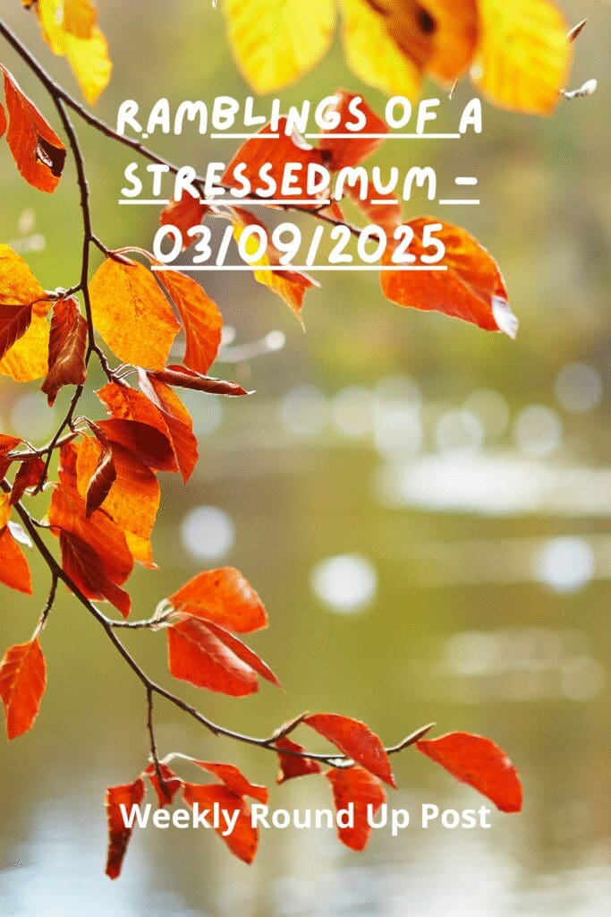 Ramblings Of A StressedMum - 03/09/2025 Pinterest Pin