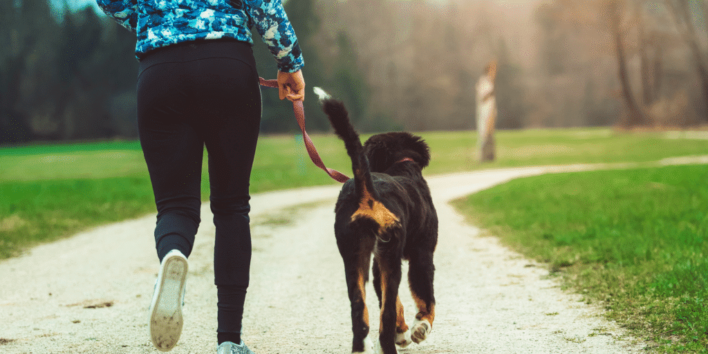 Go For A Walk