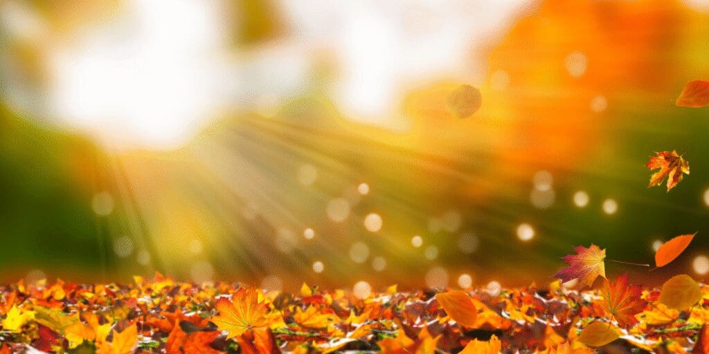 Autumn