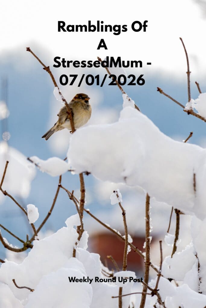 Ramblings Of A StressedMum - 07/01/2026 Pinterest Pin