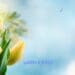 Ramblings Of A StressedMum - 25/03/2026