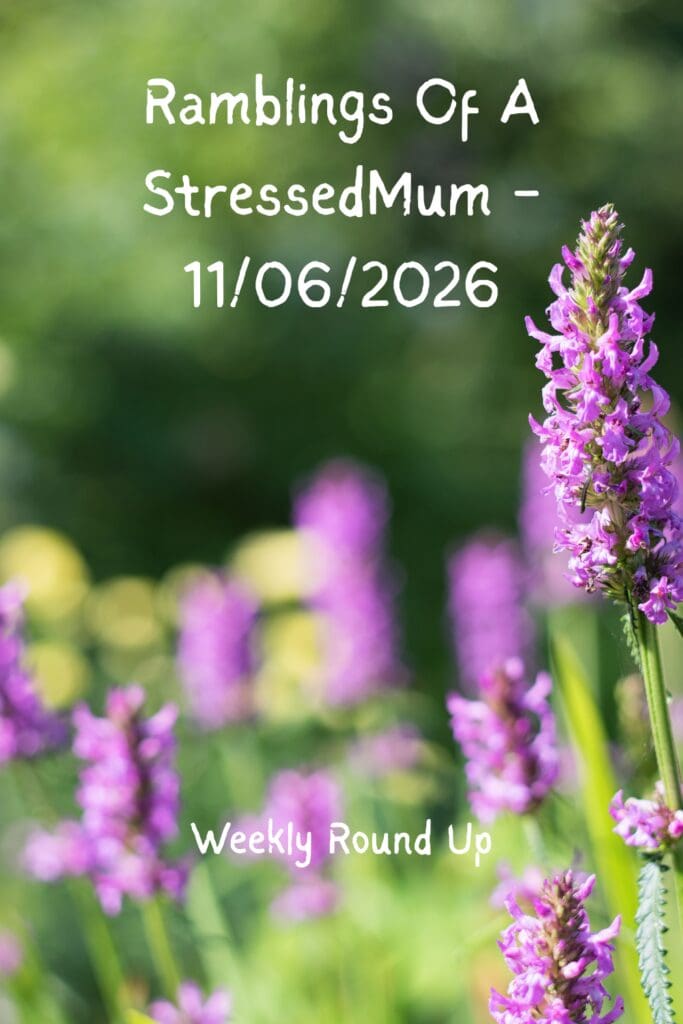 Ramblings Of A StressedMum - 11/06/2026 Pinterest Pin