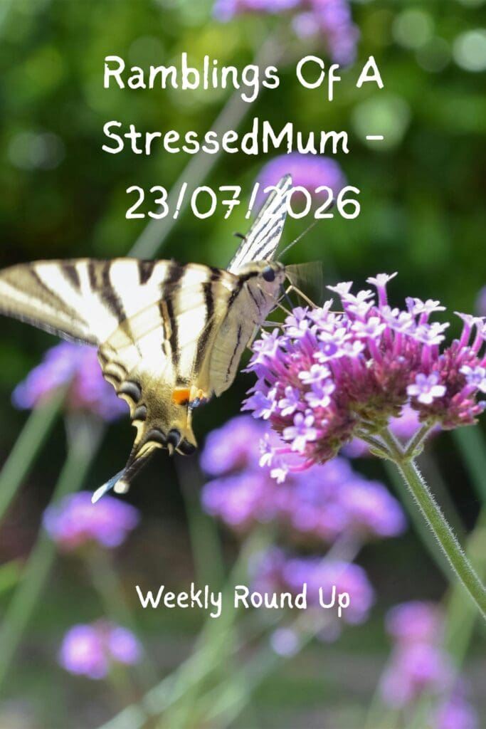 Ramblings Of A StressedMum - 23/07/2026 Pinterest Pin