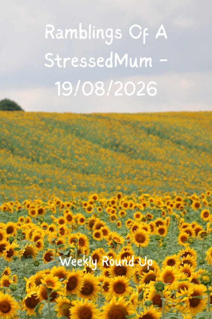 Ramblings Of A StressedMum - 19/08/2026 Pinterest Pin