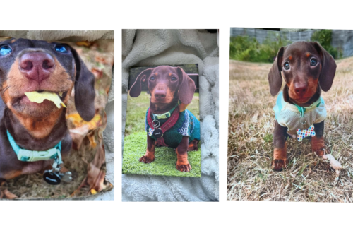 How To Find The Perfect Gifts With MYPICTURE